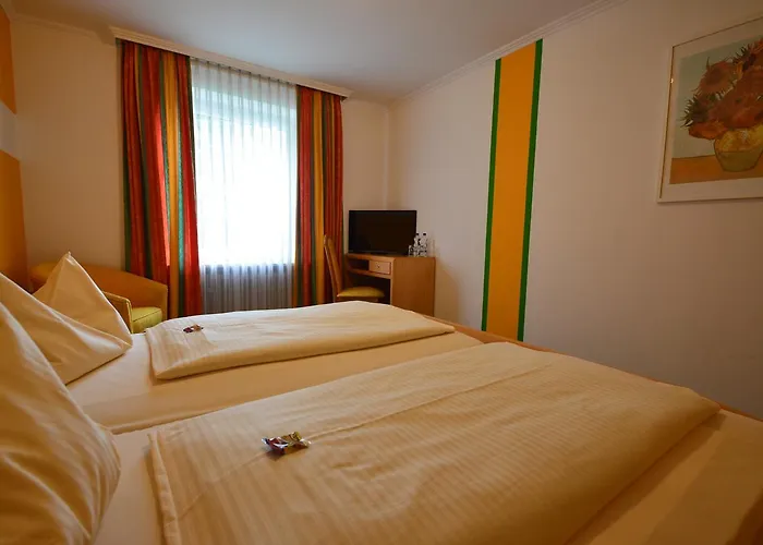 酒店 巴赫迈耶酒店 3*