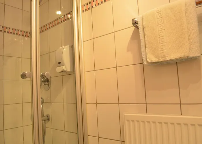 酒店 巴赫迈耶酒店 3*